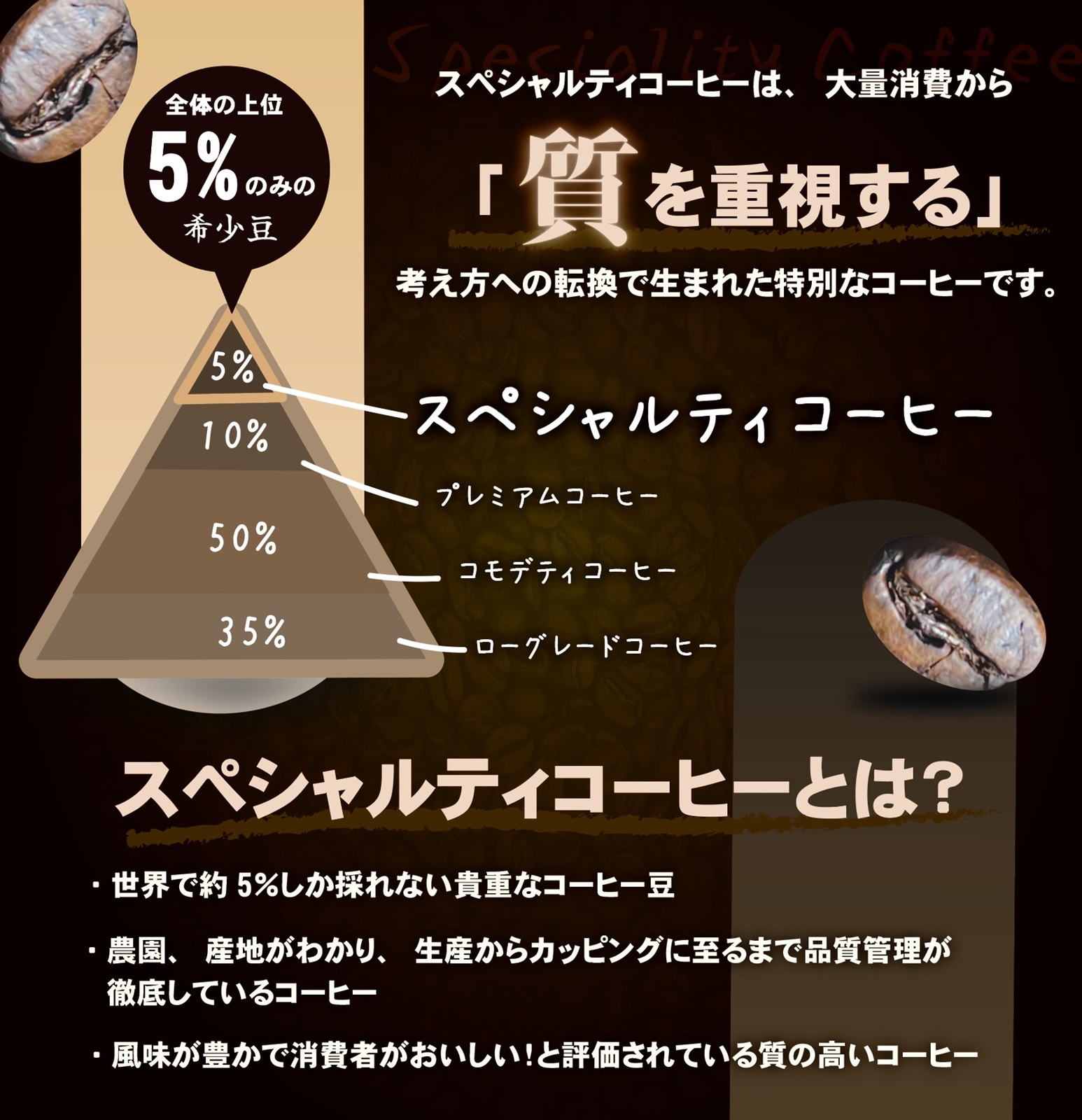 ̵ۥȥߥ 4 ɥåץХåå(ꥢܥå)