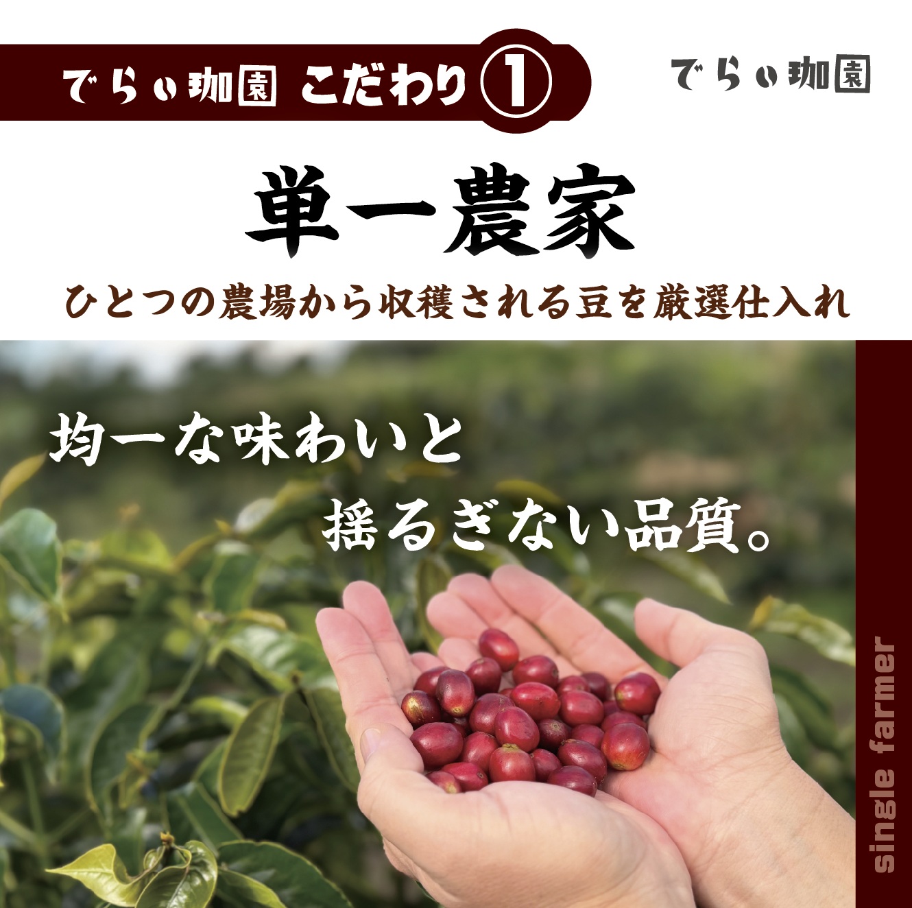 ���ޥȥ� ���ȥ� ����ͥ� �ޥ�ǥ��