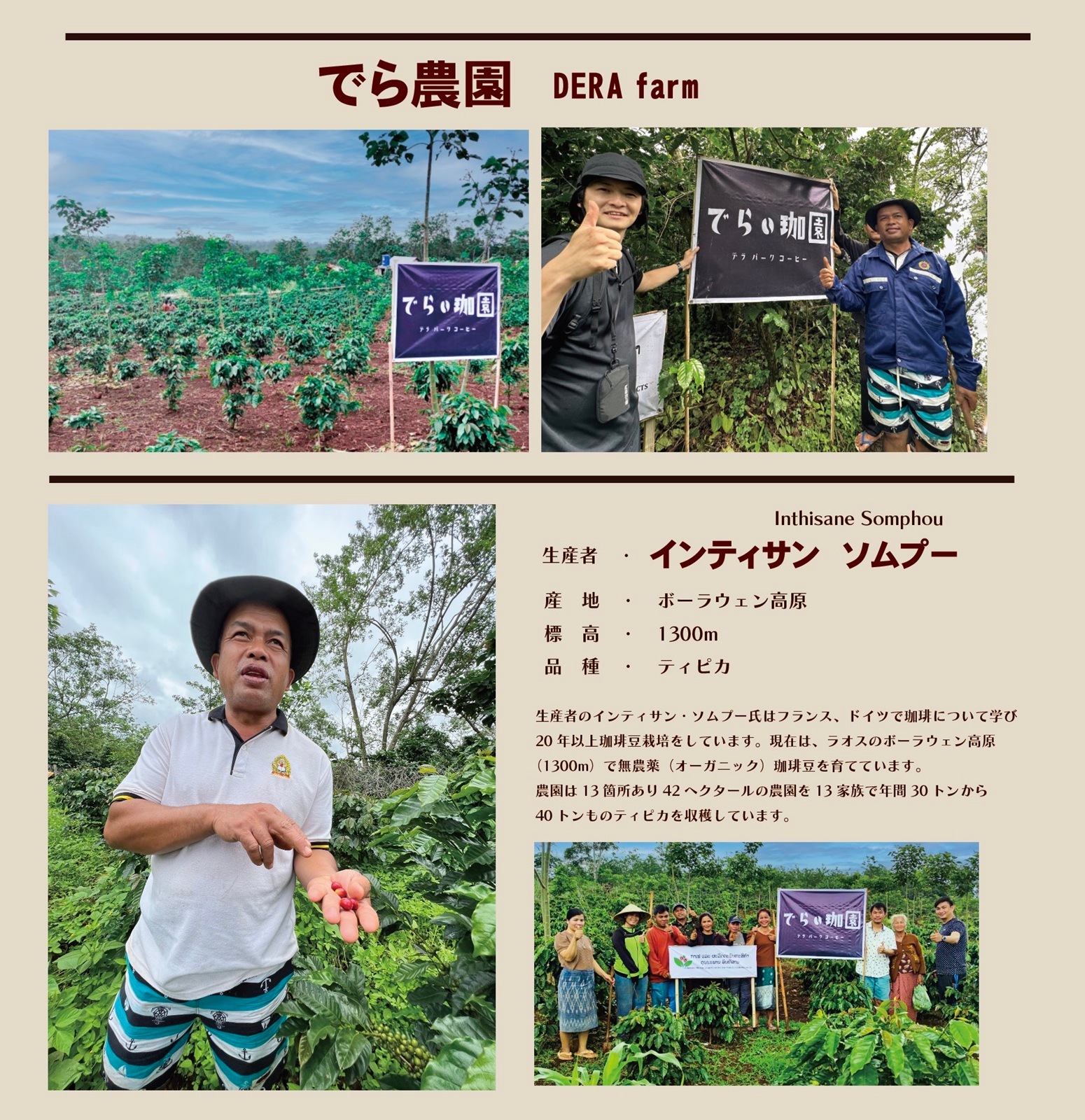 �ڥۥ磻�ȥǡ����ָ�����Ȥ�Ω�Ƽ� ��ȥ�ߥ� 12�� �ɥ�åץХå����åȡ�����̵����