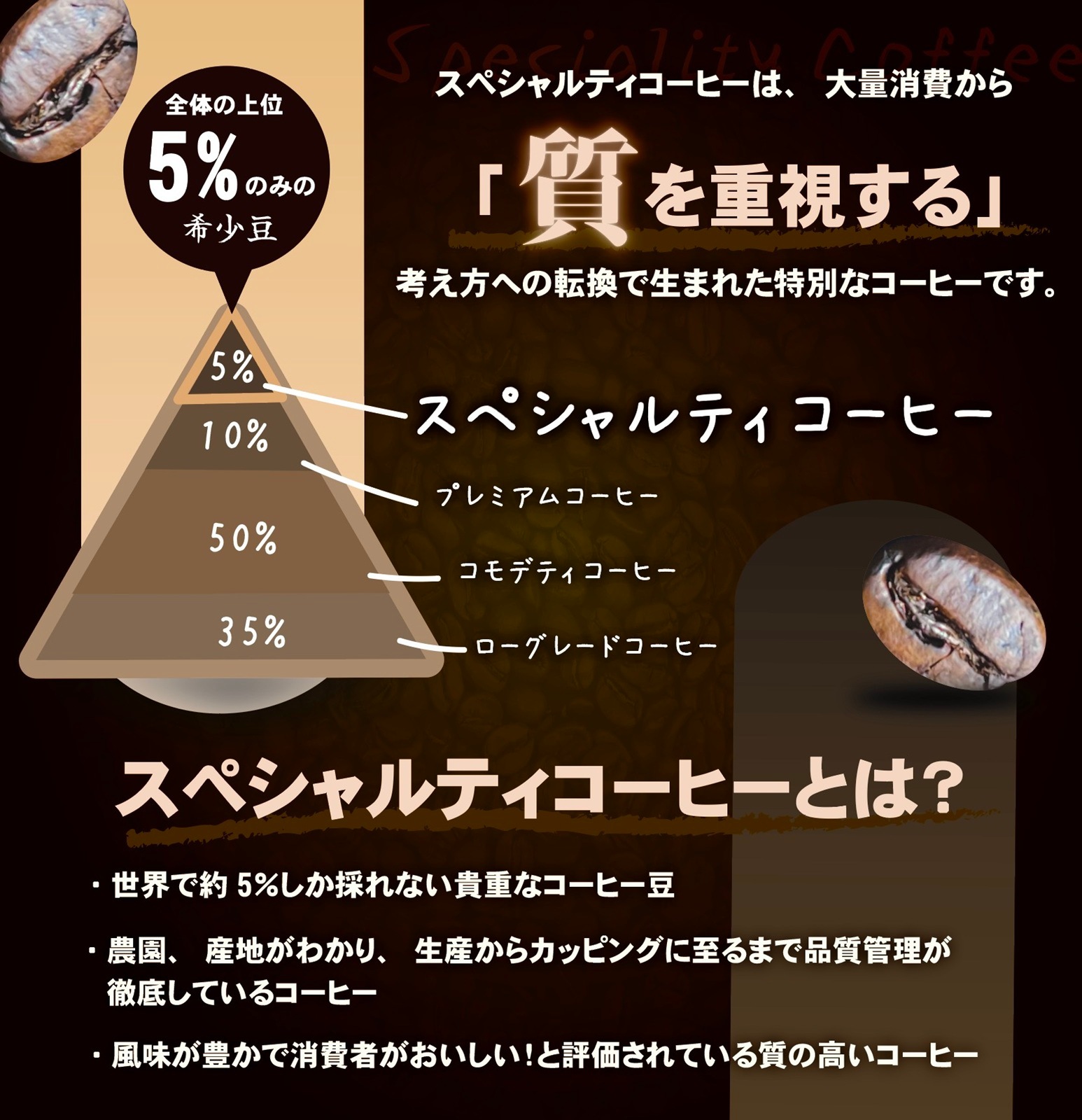 �ڥۥ磻�ȥǡ����ָ�����Ȥ�Ω�Ƽ� �ࡼ�ߥ�8�� �ɥ�åץХå����åȡ�����̵����