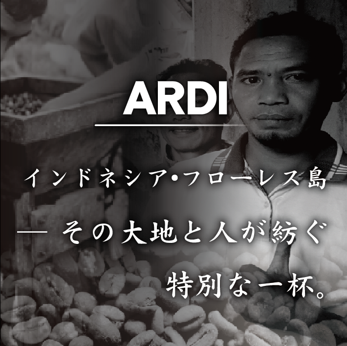 ú������ �ե����쥹 ����� ����ǥ� �����å����