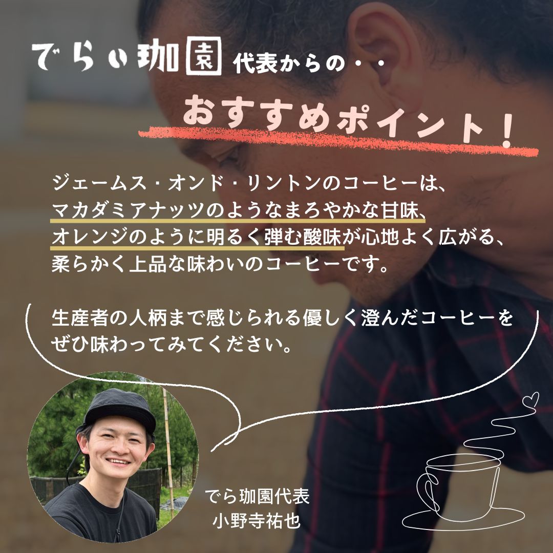 �������ॹ���� �ޥ�ǥ�� �ɥ�åץХå������ҡ� 10��/15��/20��