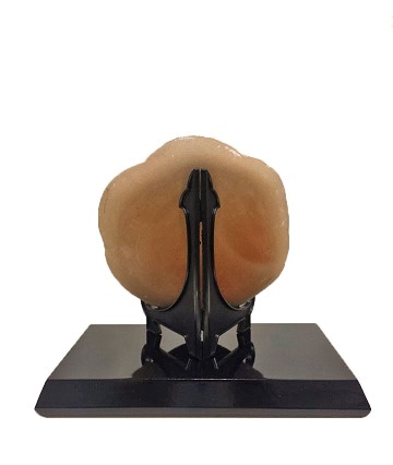 寿月すみたやがお届けする、森田みほ作 陶器のおひなさま絵皿 No11