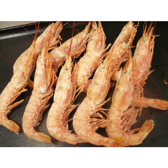 ���!!���֤��ӡ������ѡ���500�硡10��13������