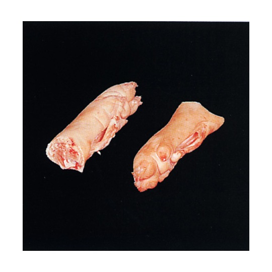 ���ڤξ���­��Ȣ��ꡡ��10����