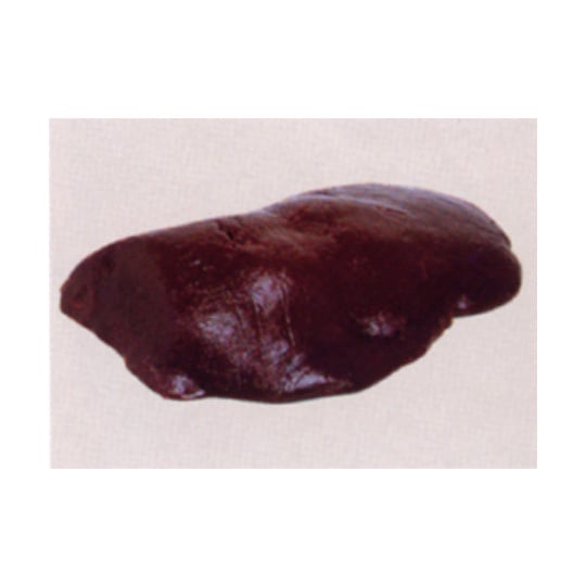 ���ڤΥ�С���Ȣ��ꡡ��10���