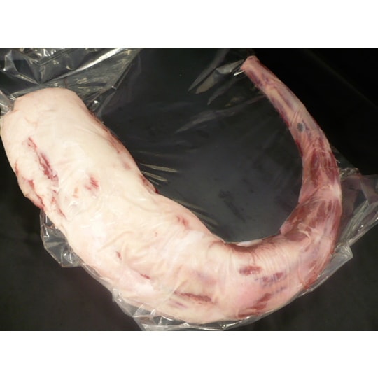 Ķ�������������µ��Υơ��롡����1700������