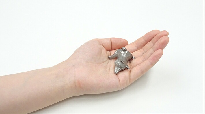 アライグマのフック