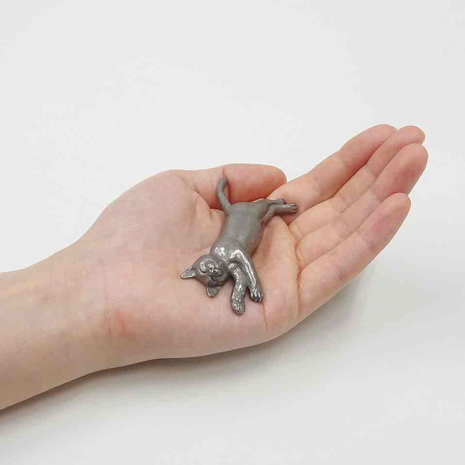 ねているネコ(大)