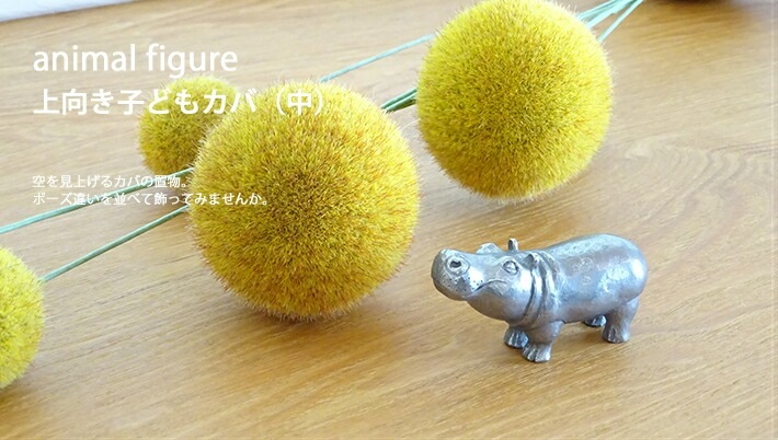 上向き子どもカバ(中)