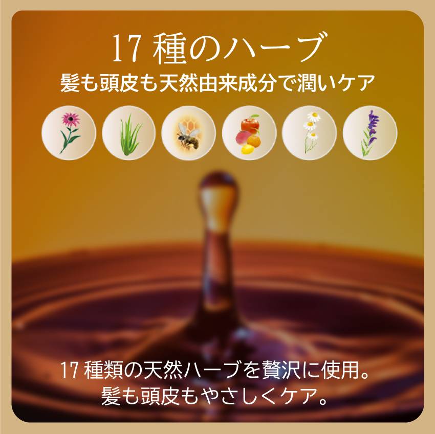 ����ʥۥ륷���ס� 300ml ����ʥۥ�ʥ�����ȥ꡼�ȥ��ȥ����ס� ����ʥۥ� �����ס� �ļ������� ���������� �����ס� SUNNA HORU SHAMPOO ���ʳ�