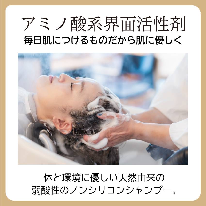 ����ʥۥ륷���ס� 300ml ����ʥۥ�ʥ�����ȥ꡼�ȥ��ȥ����ס� ����ʥۥ� �����ס� �ļ������� ���������� �����ס� SUNNA HORU SHAMPOO ���ʳ�