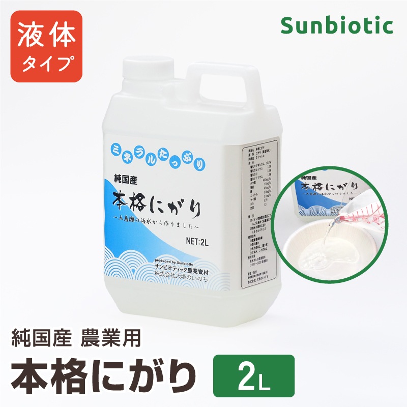 ��񻺡������ѡ��ܳʤˤ���� 2��åȥ�