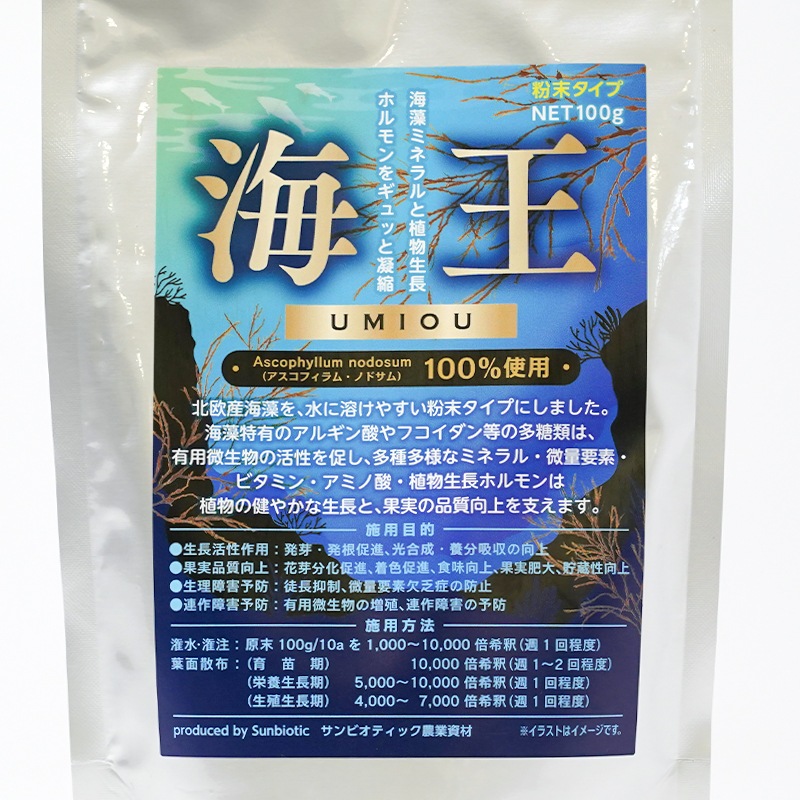 �����ߥͥ���ࡡ�ֳ�����100���10��