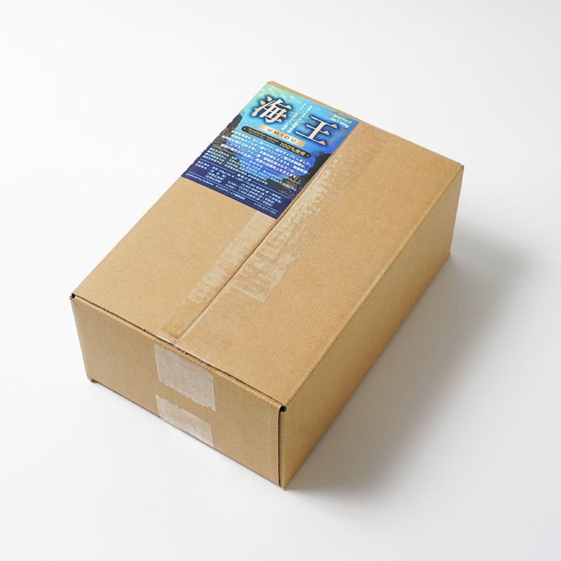 �����ߥͥ���ࡡ�ֳ�����100���10��