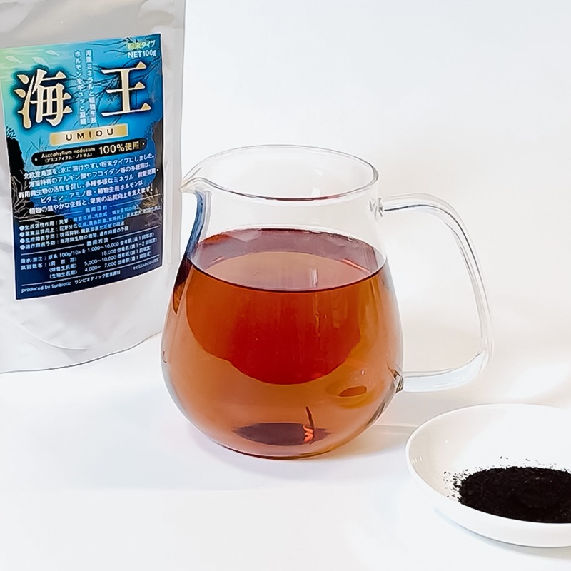 �����ߥͥ���ࡡ�ֳ�����100���10��