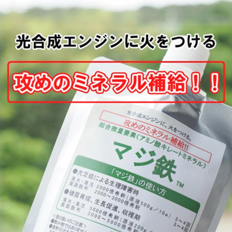 ���ߥλ����졼�ȥߥͥ��֥ޥ�Ŵ�ס�200g��5������