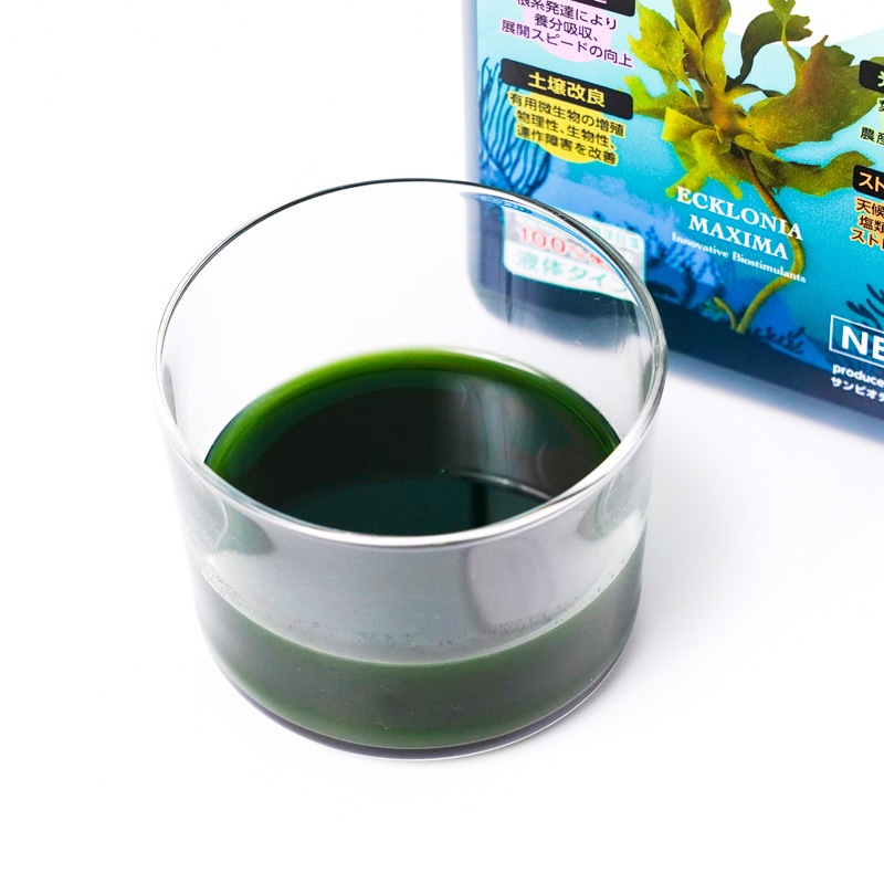 ��ǻ�١������������֥�������ס��� 200ml�ʷ��̥��å���°��