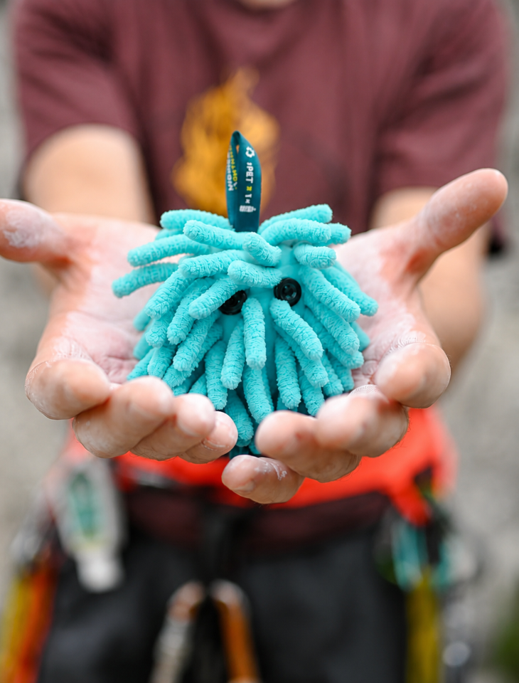 ML Chalktopus Teal　 (チョクトパス　ティール）