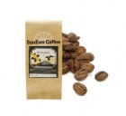 ������ɥޥ���ƥ�֥���(100g)