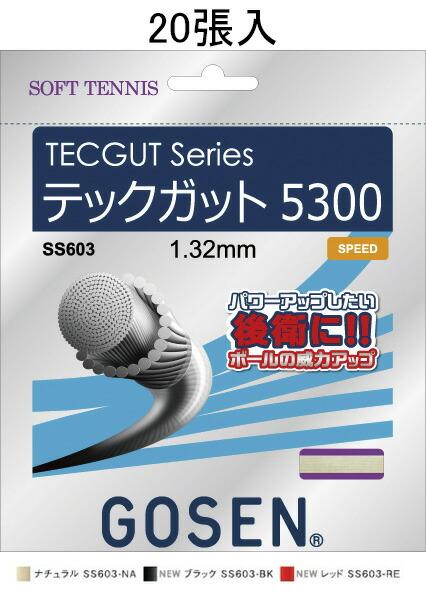 ゴーセン GOSEN テックガット16 20P テニス硬式 ガット (ts600w20p) テニスガット ゴーセンAKPRO 16GA 6張セット ノンパッケージ・20張