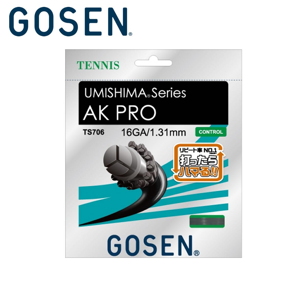 GOSEN TS706BK20P 海島 ウミシマ AKプロ 16/UMISHIMA AK PRO 16