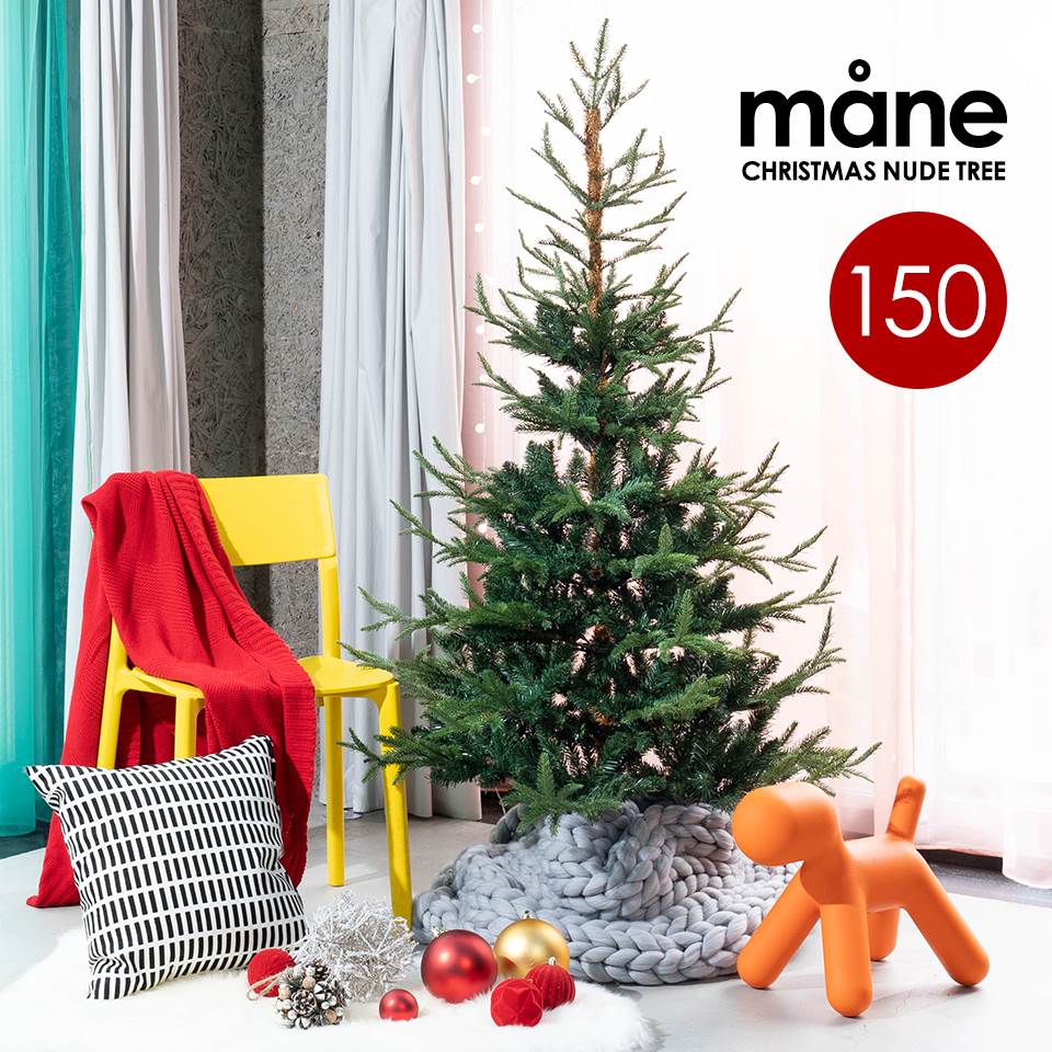 クリスマスツリー 150cm 高級 フィンランド ヌードツリー クリスマス ツリー mane モーネ オーナメントセット なし 本物のモミの木に近いヌードツリー