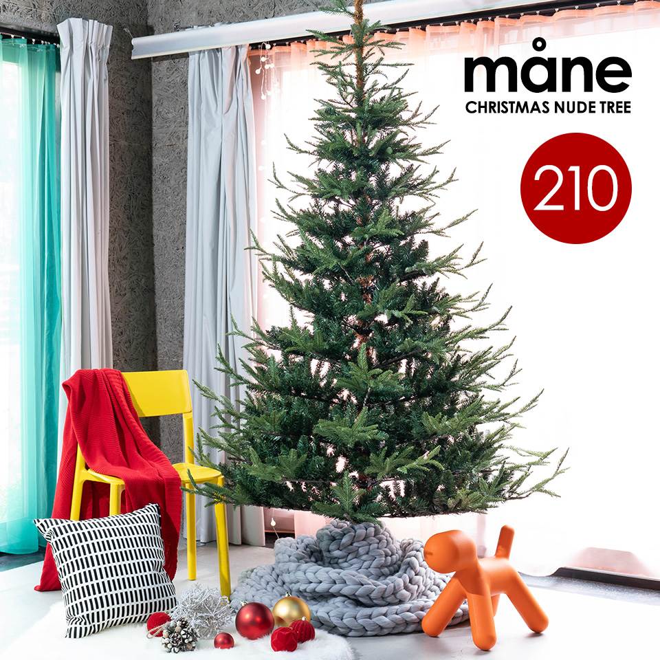 クリスマスツリー 210cm 高級 フィンランド ヌードツリー クリスマス ツリー mane モーネ オーナメントセット なし 本物のモミの木に近いヌードツリー