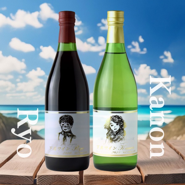 下北ワイン Ryo & Kanon 2021 セット 送料無料】下北赤白セットNo.1【箱入】 | ワインセット | 【公式】サン