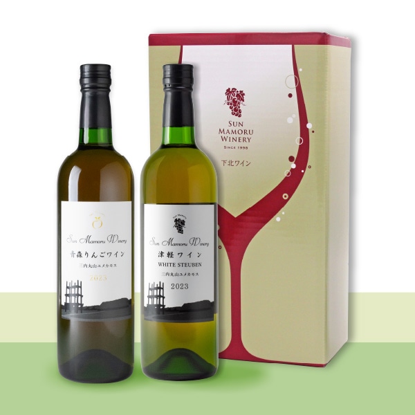 るもさん専用 DESCENTE（デサント） モジュラライズ NY DU5SSN03MZ 靴 スニーカー