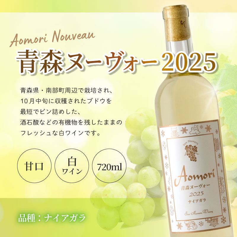 Ŀ̡2025ڿ̸11/20ȯ䡪