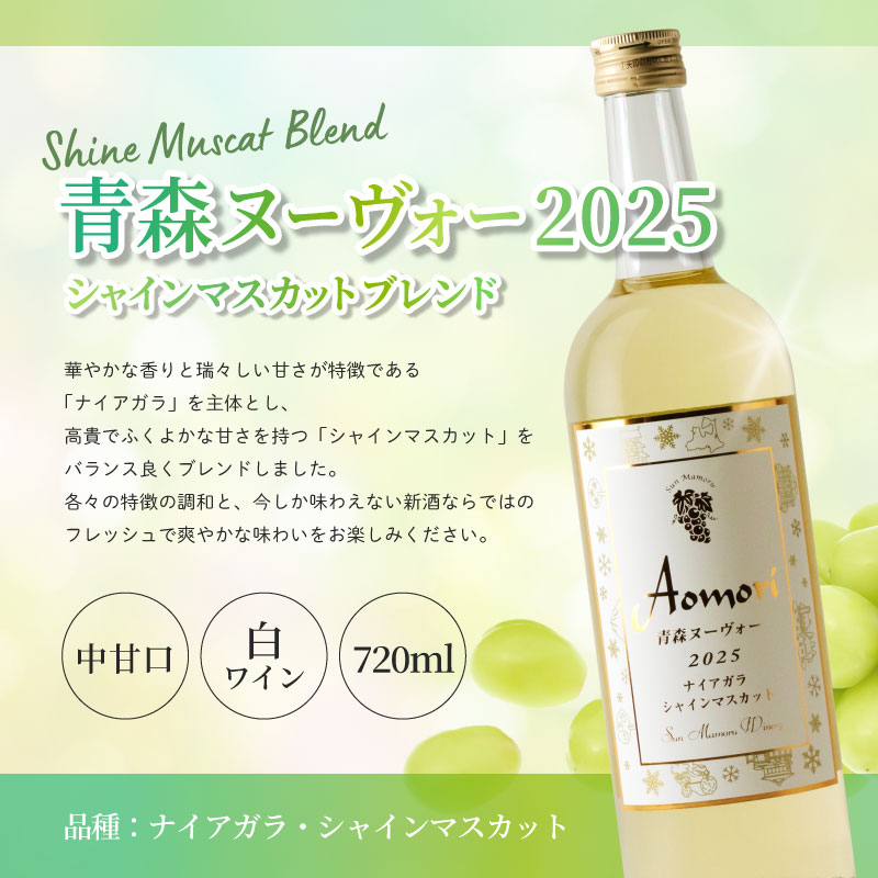 Ŀ̡2025 㥤ޥåȥ֥ɡڿ̸11/20ȯ䡪