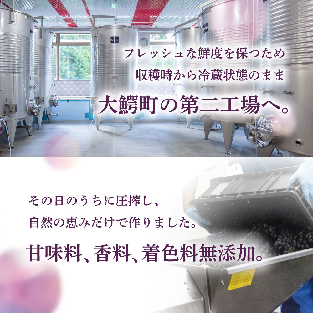 PURE JUICE PINOT NOIR 2025 500ml