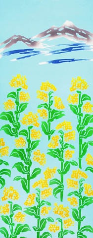 252　〈四季〉菜の花