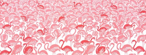 794　フラミンゴ