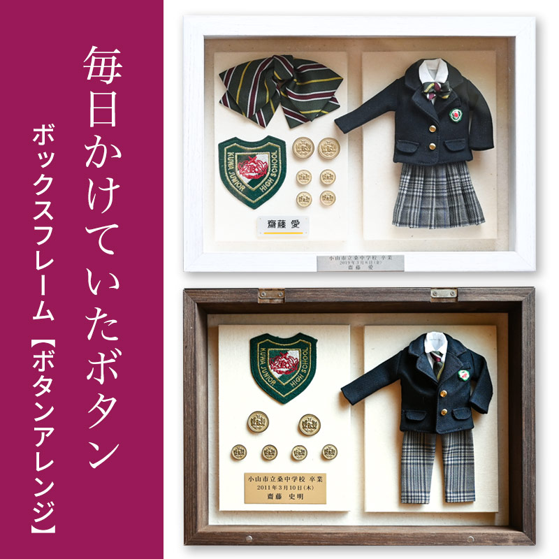 ᥤ ߥ˥奢ˤƾڥܥåե졼ۥ