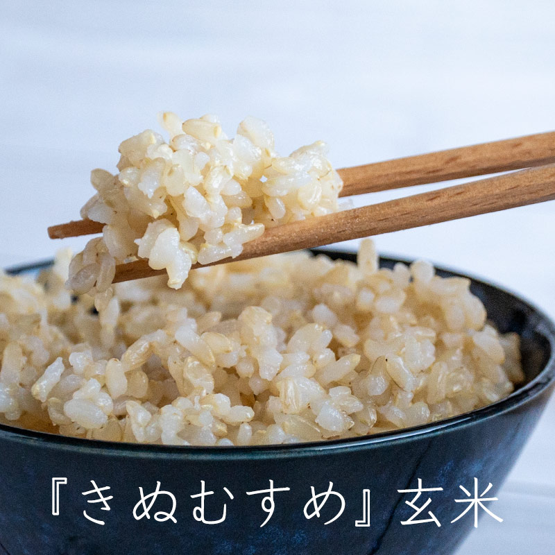 2025ǯٻؤ̤ह̵ͭΤơòÿơơʬŤƤ̤1kg2kg3kg5kg10kgΤ