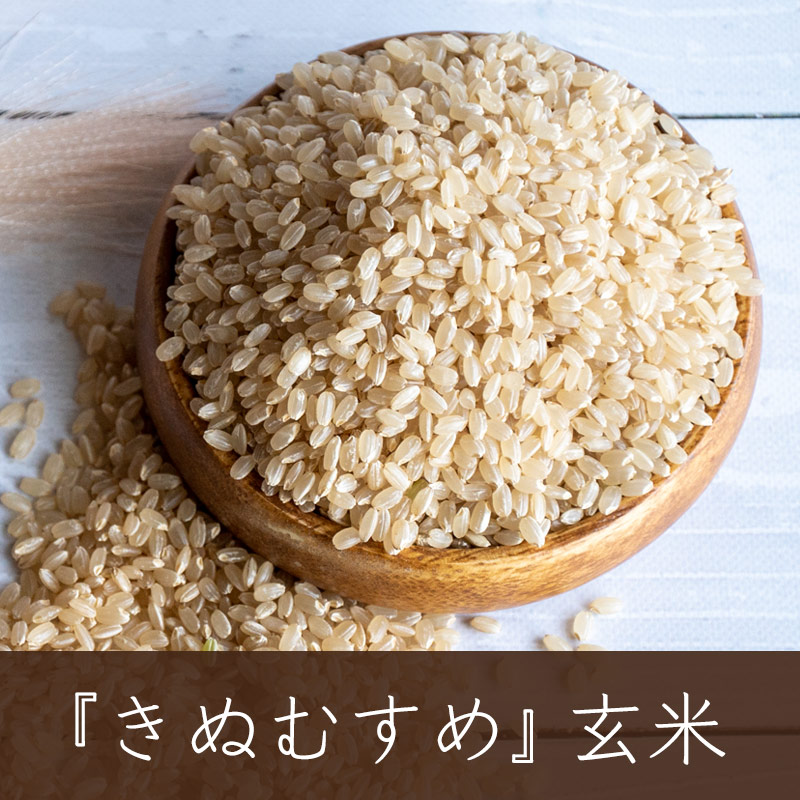 2025ǯٻؤ̤ह̵ͭΤơòÿơơʬŤƤ̤1kg2kg3kg5kg10kgΤ