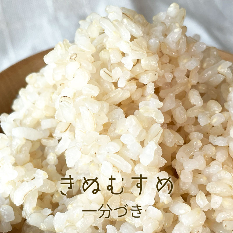 2025ǯٻؤ̤ह̵ͭΤơòÿơơʬŤƤ̤1kg2kg3kg5kg10kgΤ