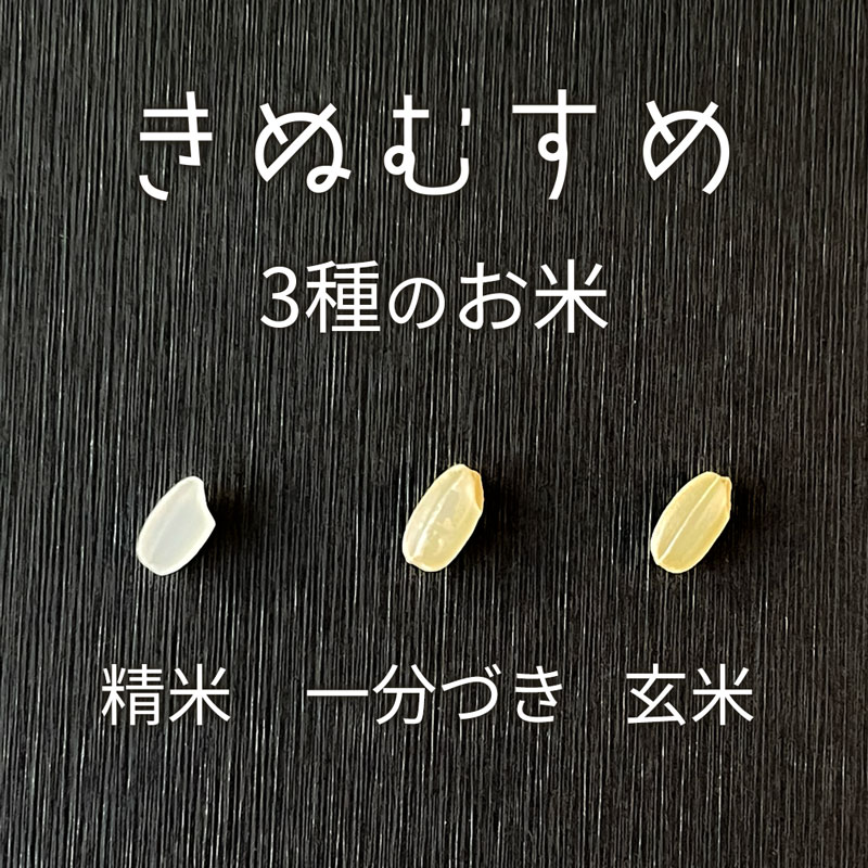 2025ǯٻؤ̤ह̵ͭΤơòÿơơʬŤƤ̤1kg2kg3kg5kg10kgΤ