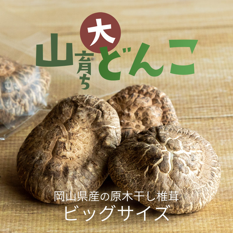 原木栽培ビッグサイズの国産干し椎茸『山育ち大どんこ〜20年仕込〜』｜岡山県産70g〜350g｜通販お取り寄せ