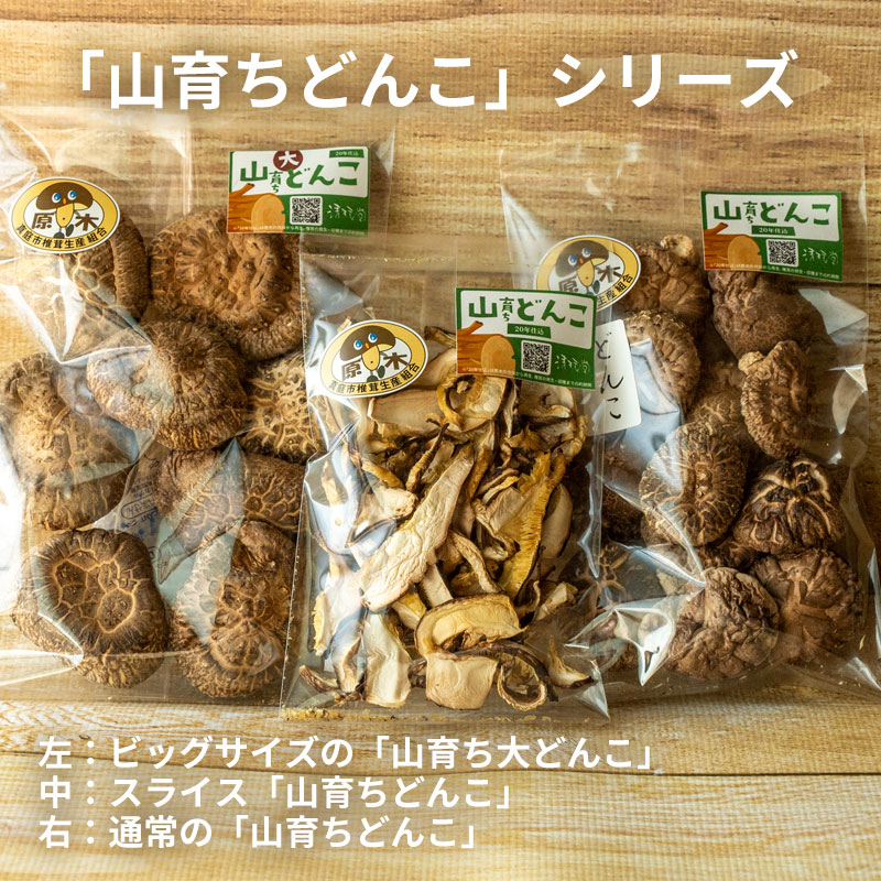 原木栽培ビッグサイズの国産干し椎茸『山育ち大どんこ〜20年仕込〜』｜岡山県産70g〜350g｜通販お取り寄せ