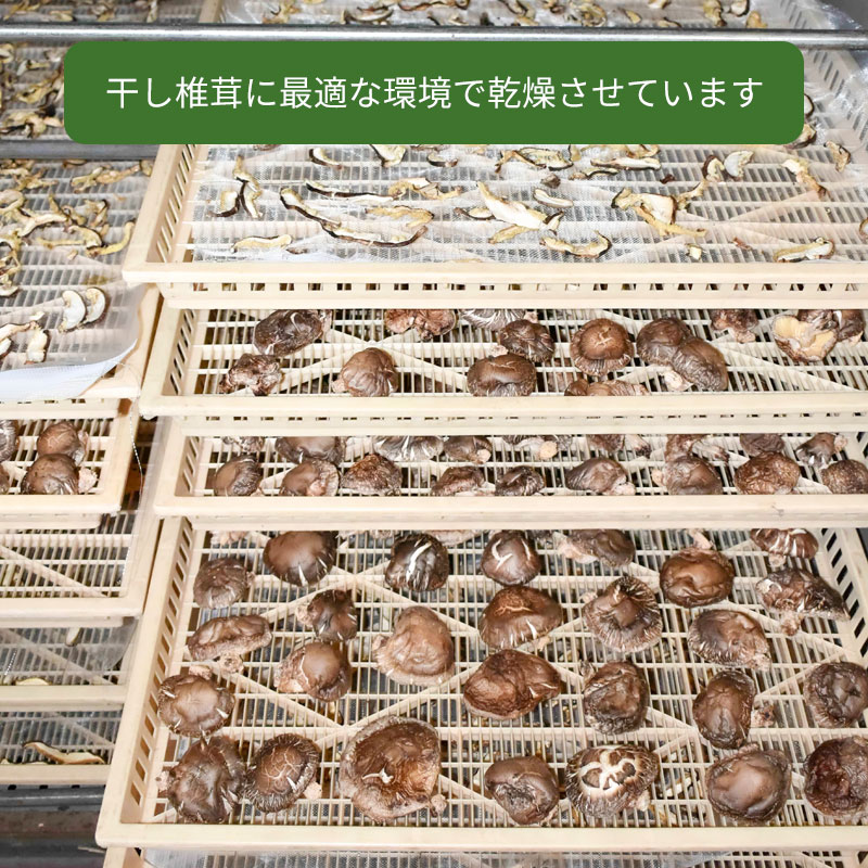 原木栽培ビッグサイズの国産干し椎茸『山育ち大どんこ〜20年仕込〜』｜岡山県産70g〜350g｜通販お取り寄せ