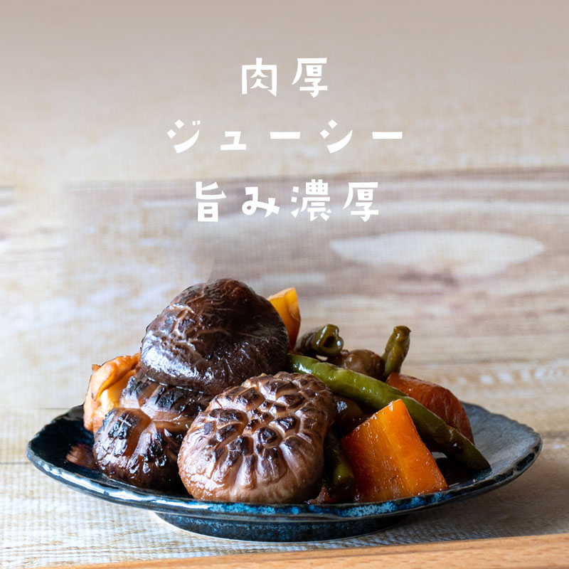 原木栽培ビッグサイズの国産干し椎茸『山育ち大どんこ〜20年仕込〜』｜岡山県産70g〜350g｜通販お取り寄せ
