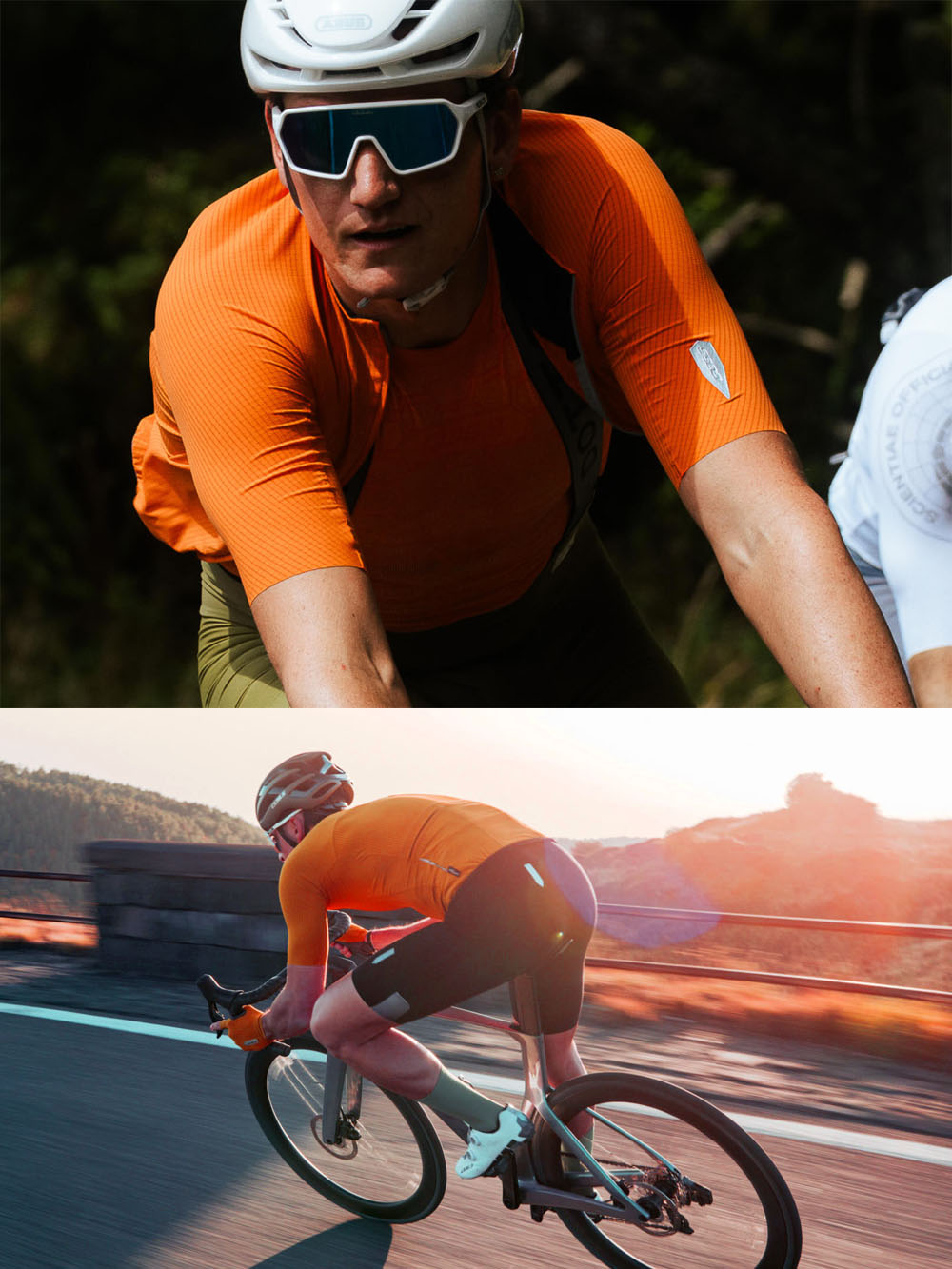 Q36.5〉Dottore PRO Jersey ジャージ _Poppy Orange | Q36.5