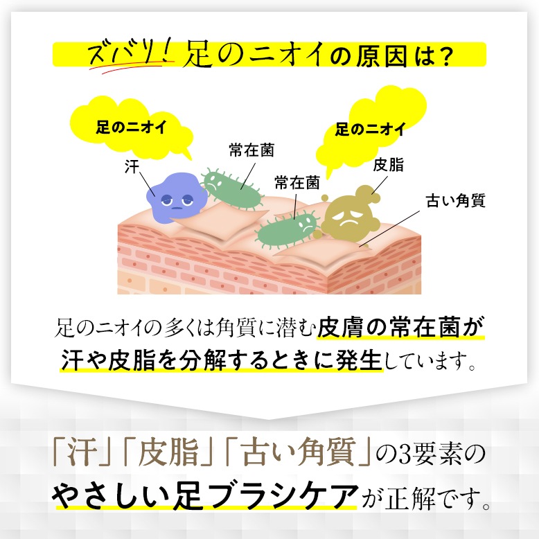 【10個セット】フットグルーマー・スタート