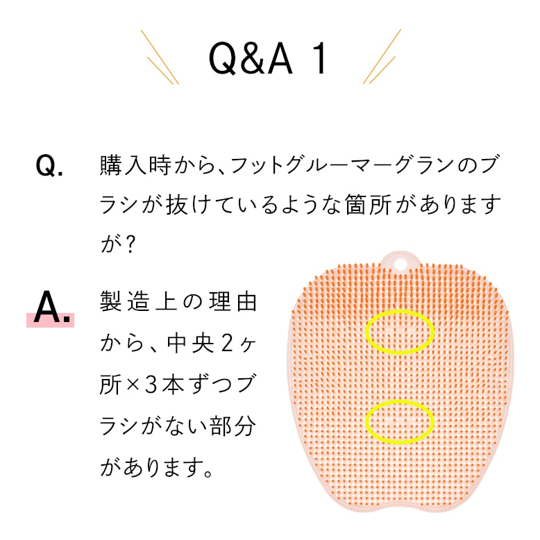 【10個セット】フットグルーマーグラン