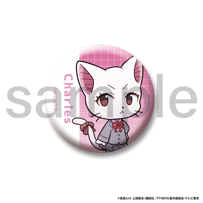 FAIRY TAIL 100年クエスト　トレーディングミニキャラ缶バッジ　 Bグループ　全5種　単品　