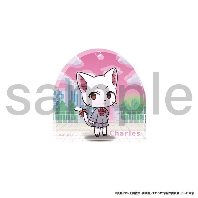 FAIRY TAIL 100年クエスト トレーディングアクリルブロックキーホルダー Bグループ 全5種 単品