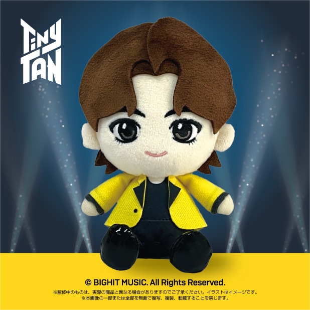 ��TinyTAN�ۤפ�̤���V